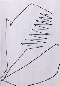 a drawing of a bird on a piece of paper